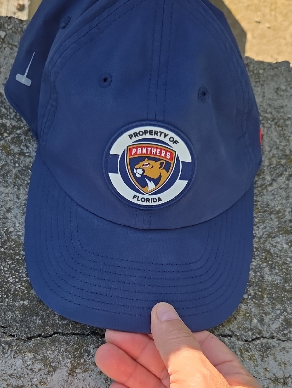 Licenced Nhl Fanatics Navy Blue Florida Panthers Logo Cap